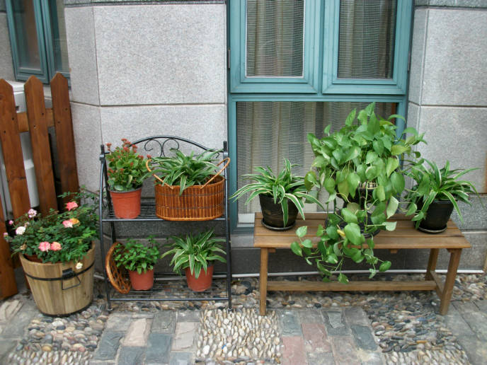 ��ɽ�ݶ���԰���ʩ��_���԰��_ͥԺ�̻�